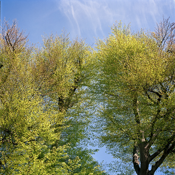 %_tempFileName3-spring%