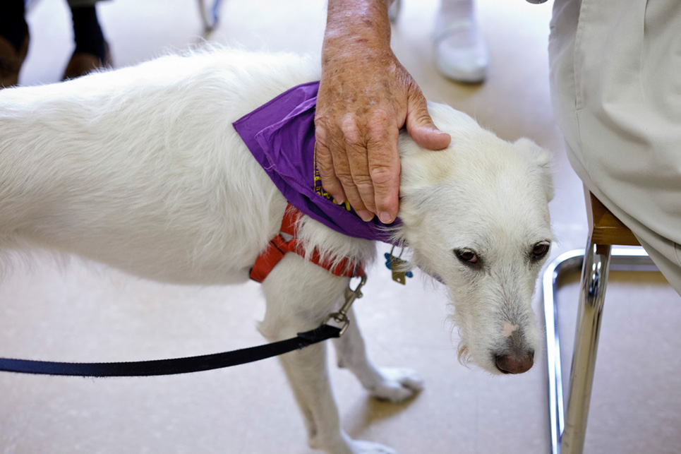 %_tempFileNameFH_k007%