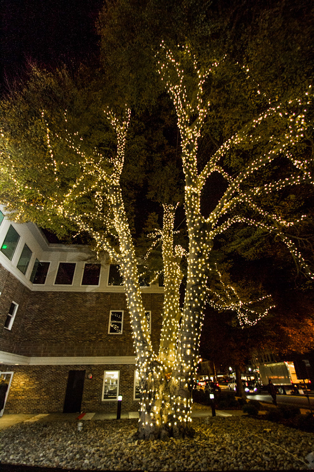 %_tempFileNameTree_Lighting_2014-017%