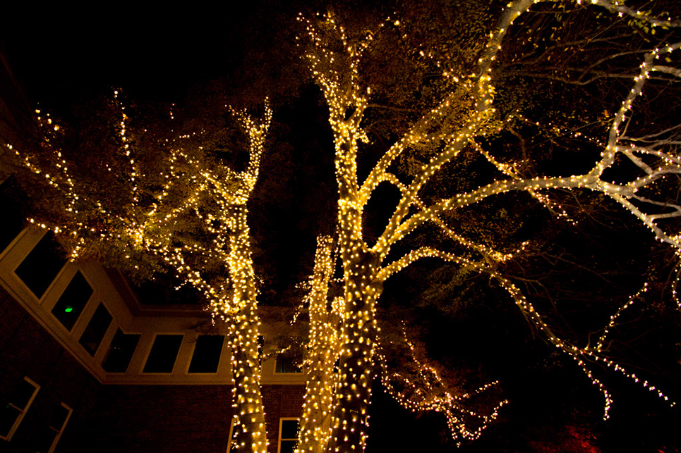 %_tempFileNameTree_Lighting_2014-019%