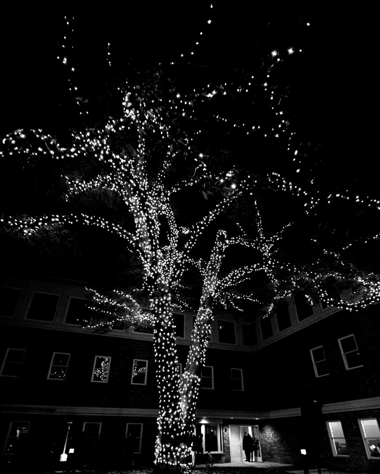 %_tempFileNameTree_Lighting_2014-021%