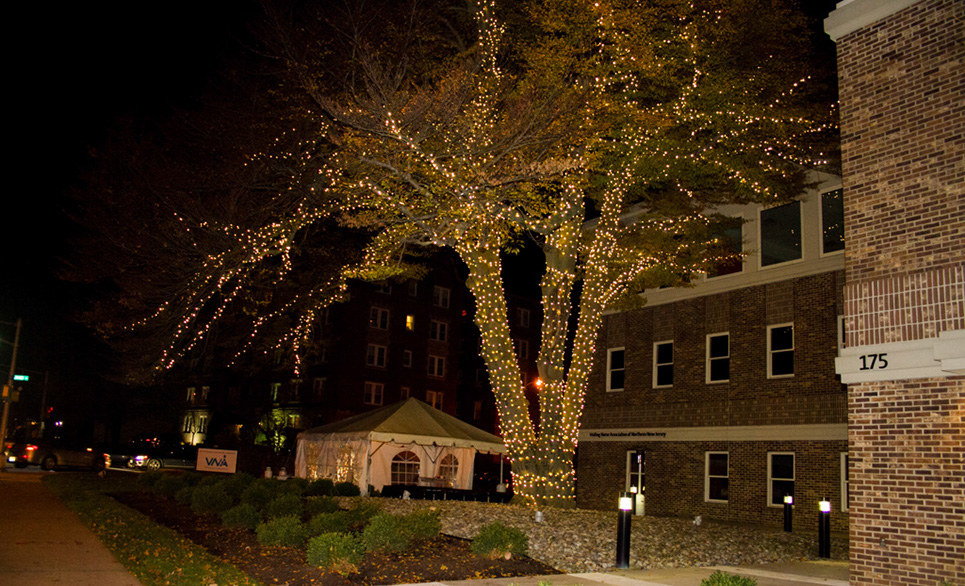 %_tempFileNameTree_Lighting_2014-050%