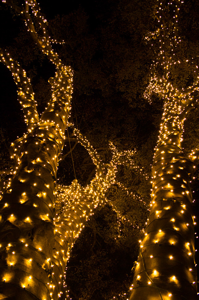 %_tempFileNameTree_Lighting_2014-051%