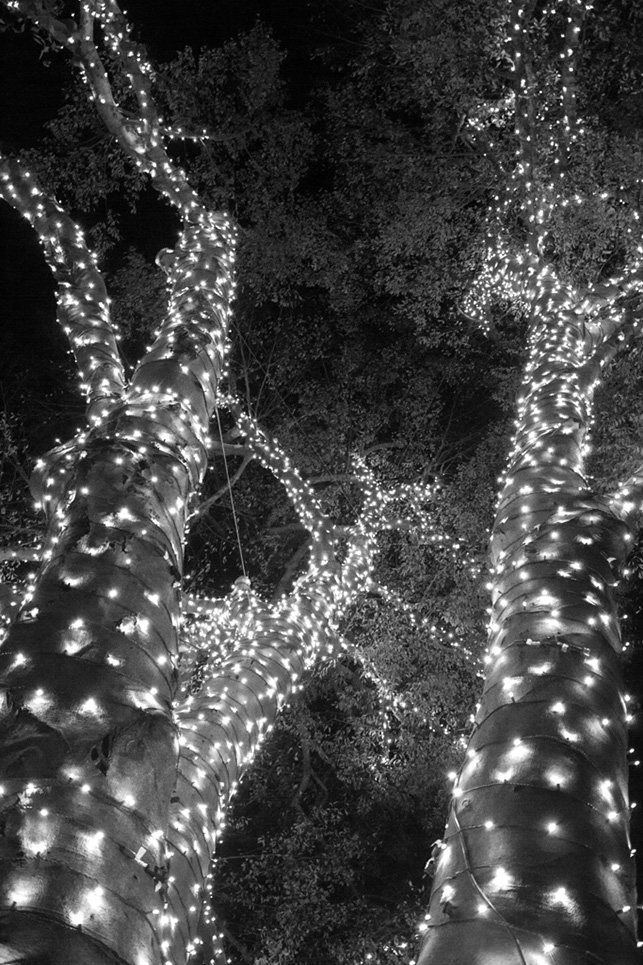 %_tempFileNameTree_Lighting_2014-052%