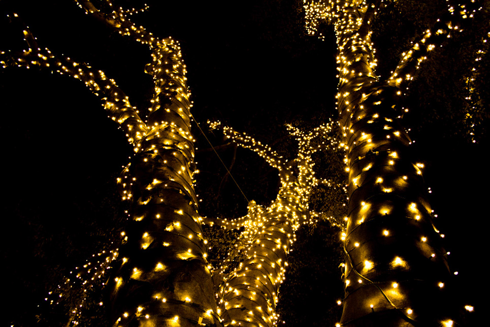 %_tempFileNameTree_Lighting_2014-053%