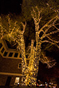 %_tempFileNameTree_Lighting_2014-018%