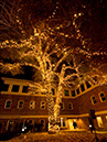 %_tempFileNameTree_Lighting_2014-020%