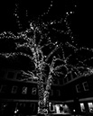 %_tempFileNameTree_Lighting_2014-021%