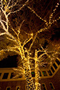%_tempFileNameTree_Lighting_2014-022%