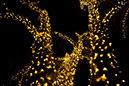 %_tempFileNameTree_Lighting_2014-053%