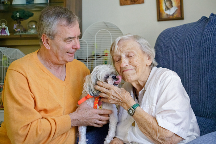 %_tempFileNameVolunteers_g052%