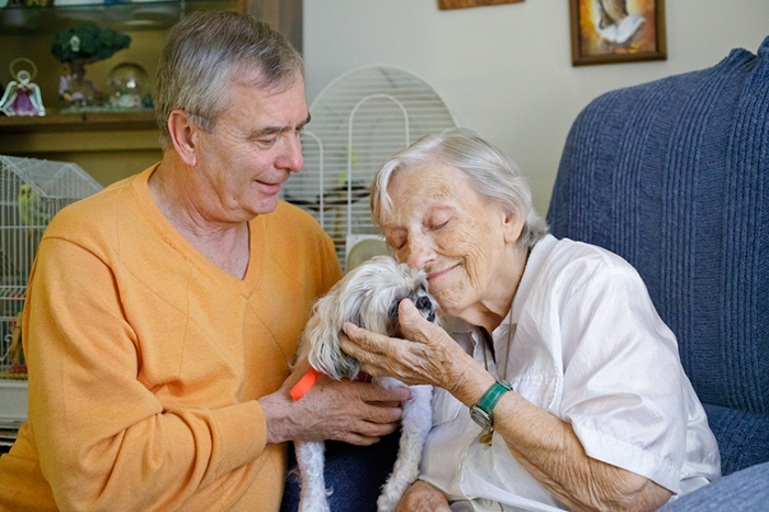 %_tempFileNameVolunteers_g054%